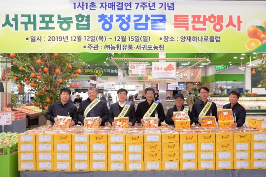 농협유통, 전 점에서 15일까지 ‘제주 서귀포 감귤’ 할인 판매…제주 감귤 농가 돕기 일환