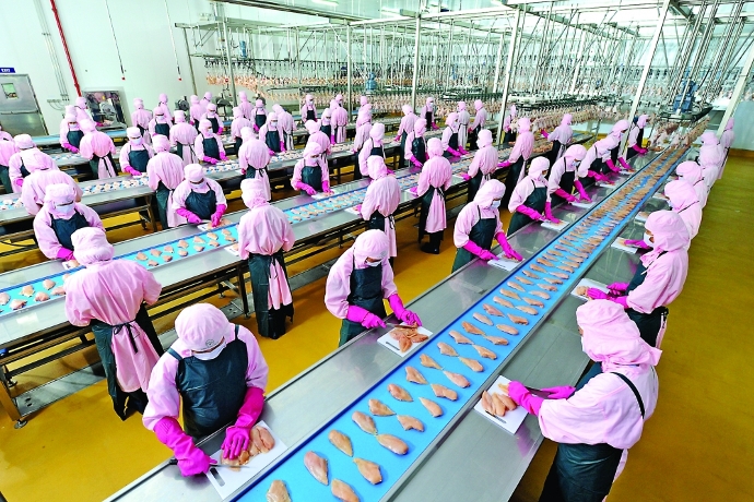 [베트남 리포트] 태국자본, 베트남 닭공장 진출 글로벌 식탁 점령 노린다