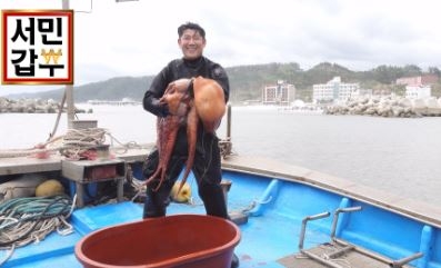 직접 잡아온 수산물 식탁위에 매출?... 영덕 서민갑부 머구리 7년 전 5000만 원 지금은?