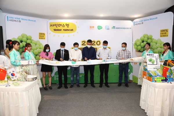 [글로벌-Biz 24] 한국산 샤인 머스켓에 반한 중국대륙...aT, SG인터내셔널과 손잡고 현지 판촉행사