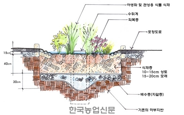 여름철 도심을 시원하게…자연 에어컨 ‘빗물정원’ 