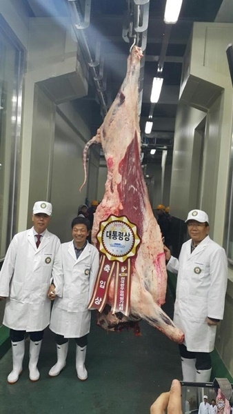 충남 천안서 ‘대한민국 1등 한우’ 탄생