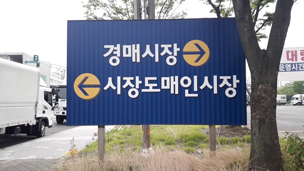 강서청과, 서울시에 담장 세워달라