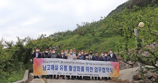 홍매실 유통 활성화...전남도ㆍ광양시 합류