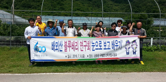 부안 배뫼산 블루베리연구회 선진지 견학