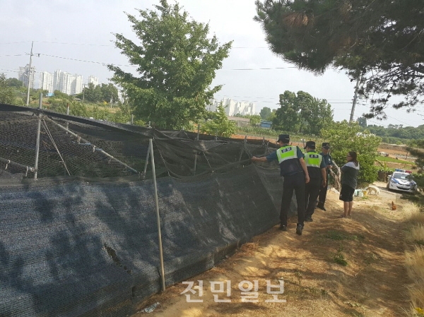 송천2파출소, 인삼밭 우리가 지킨다