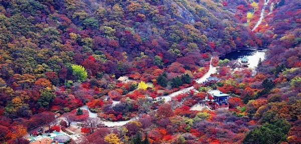 정읍시, 17일까지 내장산·농촌체험 연계 농뚜레일 신청 접수
