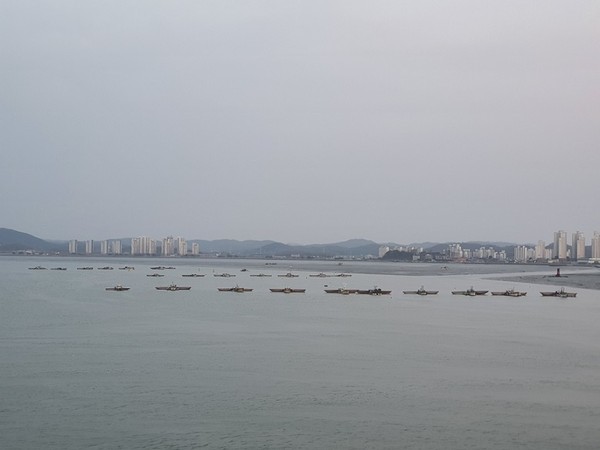 군산해경, 실뱀장어 불법조업 특별단속 돌입