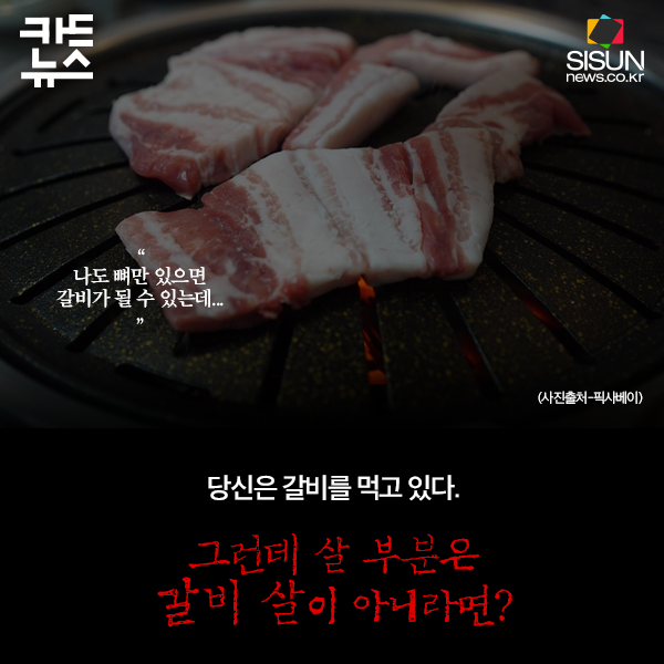 [카드뉴스] 이해 할 수 없는 음식 관련 판결들 [시선뉴스]