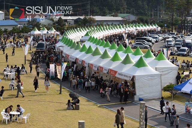 [SN축제] 아름다운 자연경관과 커피향의 낭만이 있는 <제8회 강릉커피축제>