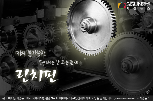 대체 불가능한 없어서는 안 되는 존재, 린치핀 [지식용어]