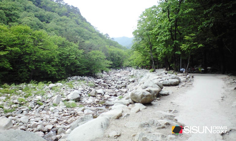 [SN여행] 설악산에 가면 흔들바위까지는 가 봐야지! [강원인제]