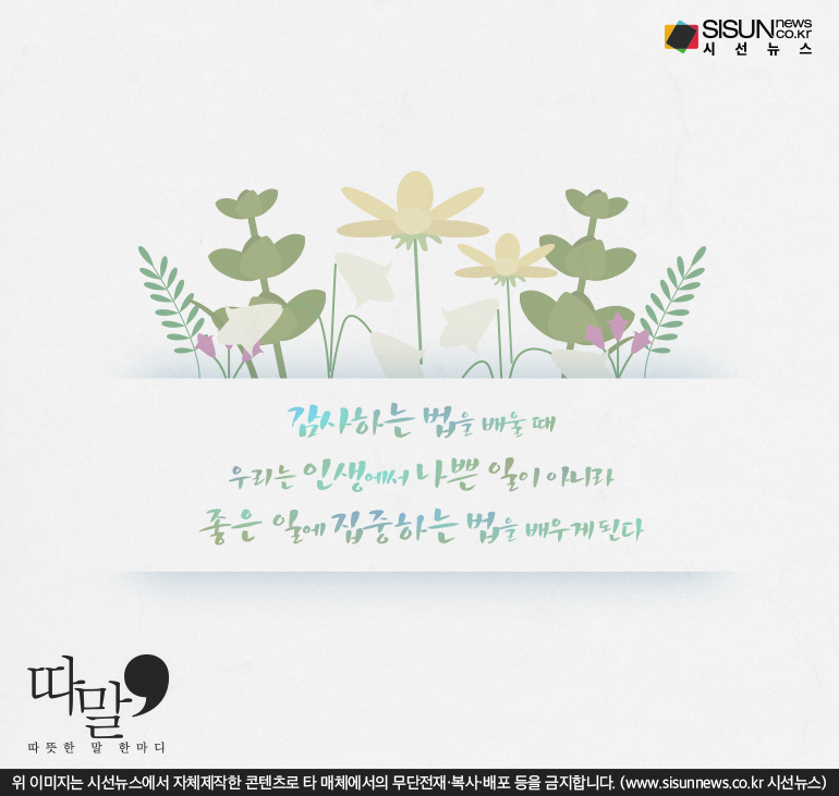 [따말] 미처 알아채지 못한 감사함 찾기...행복의 씨앗이 되길 [시선뉴스]
