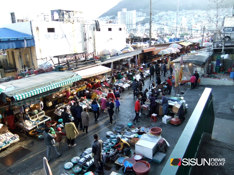 [SN여행] 부산 가볼 만한 곳, 오이소~ 보이소~ 사이소 자갈치 시장 [부산 중구]