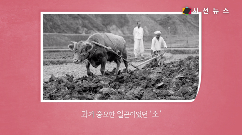 [지식의 창] 콧수건부터 대청소까지, 그때 그 시절의 봄 / 김병용 기자