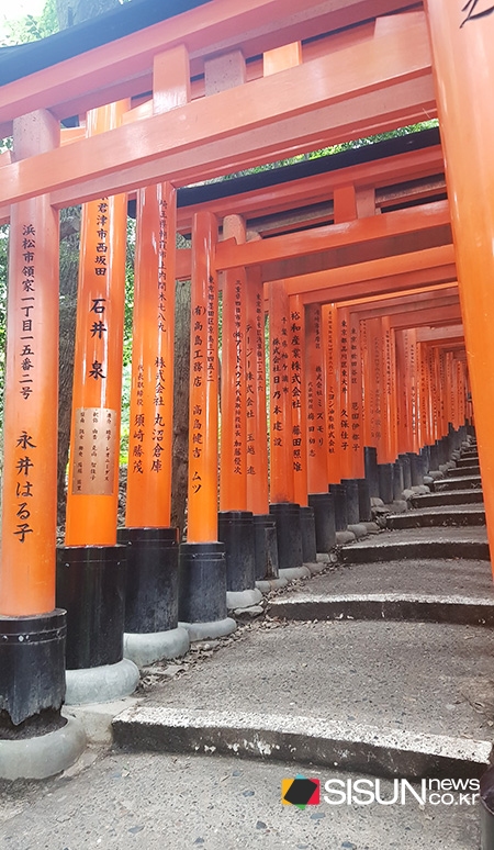 [SN여행] 신성한 여우가 지키는 곳 후시미 이나리 신사 [일본]