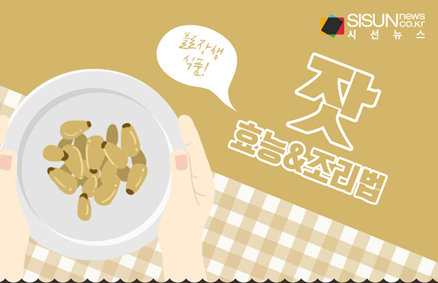 [오늘의 레시피] 불로장생의 식품, 잣은 어떤 효능이 있을까 [인포그래픽]