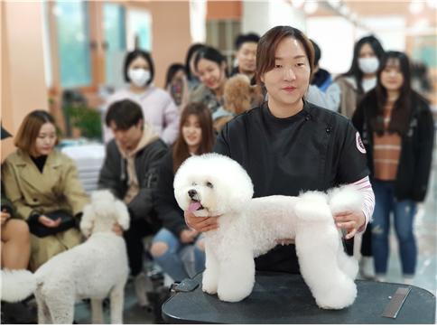 김지순 애견미용학원 좋은 애견미용인이 되려면?