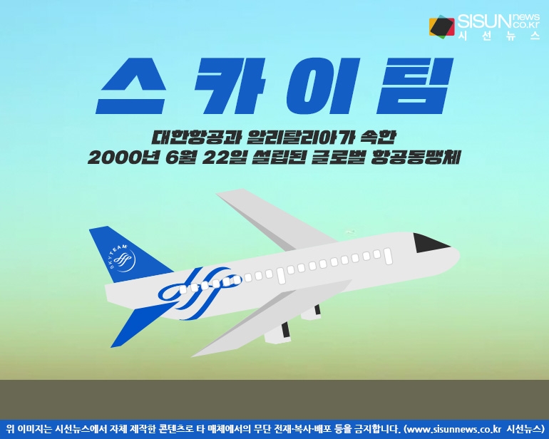 한국-이탈리아 하늘길도 막힌다...대한항공-알리탈리아 스카이팀 위기 [지식용어]
