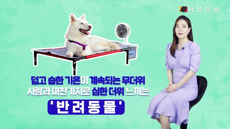[애니멀TV] 여름철 반려동물의 지독한 냄새...관리 꿀팁!