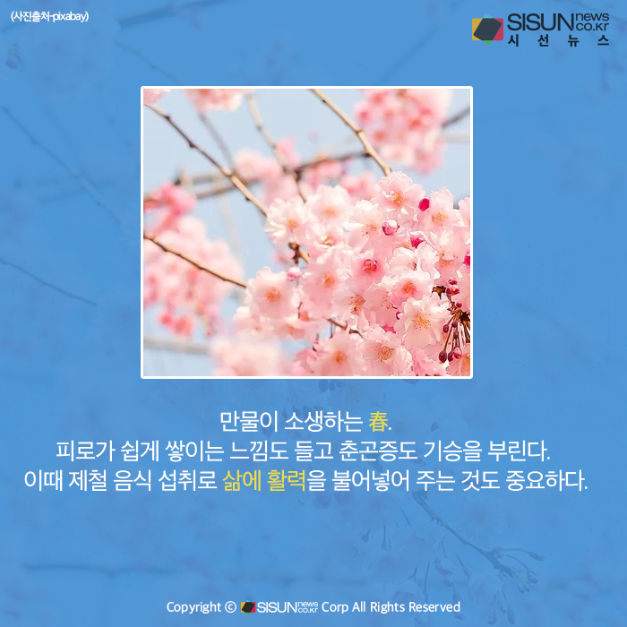 [카드뉴스] 최고의 보약 제철 음식, 봄에 더 맛 좋은 봄을 알리는 생선들 
