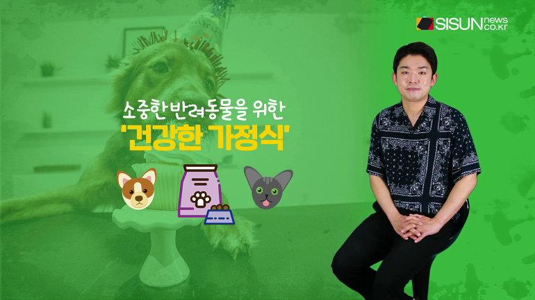[애니멀TV] 소중한 반려동물을 위한 건강한 가정식! 어떤 것들이 있을까