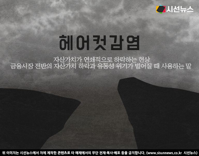 금융 위기마다 언급되는 헤어컷 감염 어떤 경우에 벌어지나 [지식용어]
