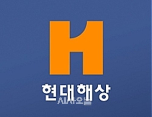 현대해상, 경영난 ´하이카다이렉트´ 흡수 추진