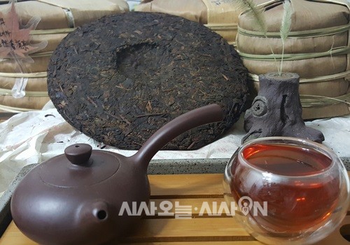 [칼럼] 내 삶을 바꾼 보이차