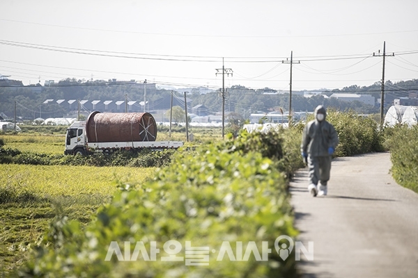 [포토오늘] 살처분 매립 준비하는 양돈농장