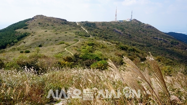 [칼럼] 무등산에서