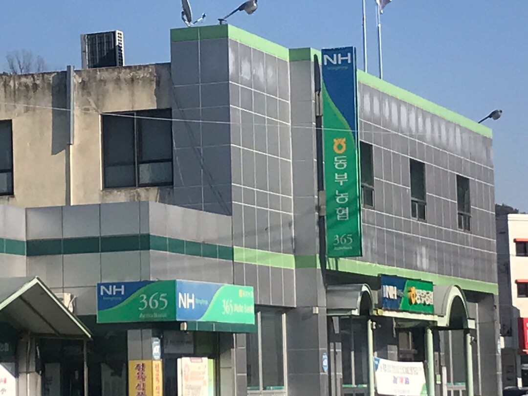 법인카드 펑펑 이어…의령동부농협 조합장, 개인정보 무단 열람
