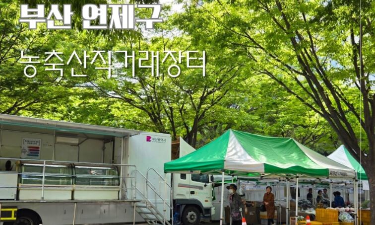 부산시청 시민광장서 12일 농축수산물 특별 할인전
