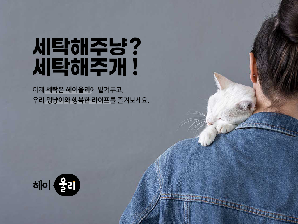 세탁소 플랫폼 ‘리화이트’, 반려가족 전문 세탁 서비스 ‘헤이울리’ 론칭