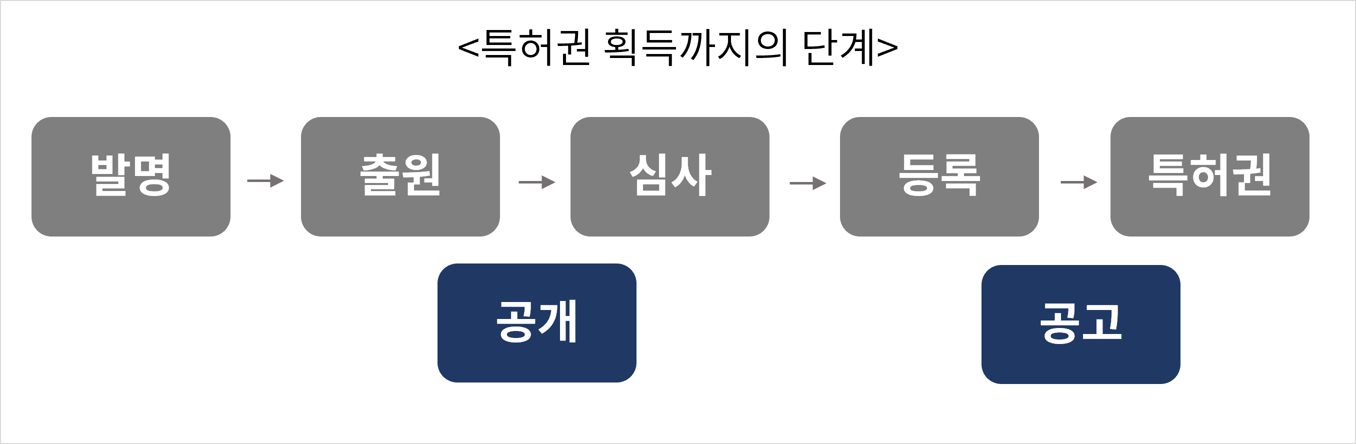 [류민오의 BIO 기술과 특허 브리프] #2. 특허문헌의 종류