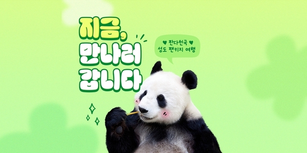 푸바오 떠나 허전한 마음 달래 볼까, 하나투어 쓰촨성 펀더기지 관람 상품 출시