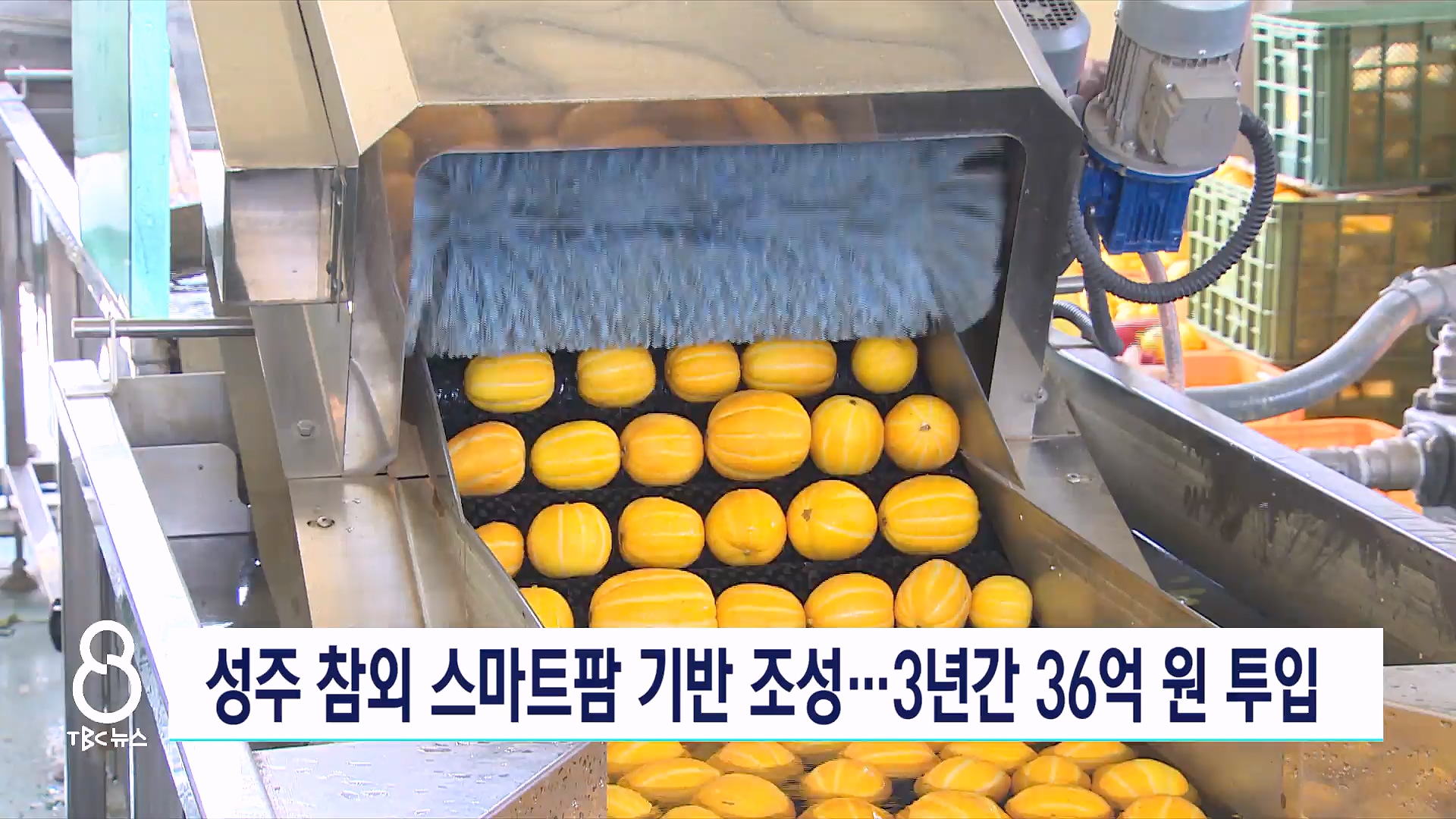성주 참외 스마트팜 기반 구축…3년간 36억 투입