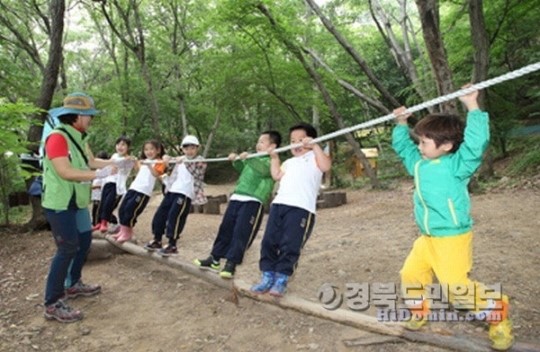 포항유아숲체험원산림청 인증 교육기관