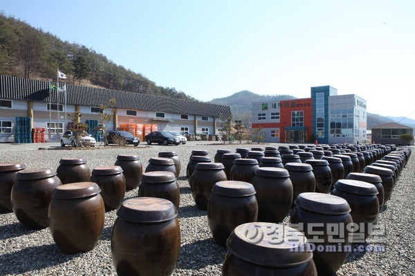 영양 반딧불이 우리콩 메주인기