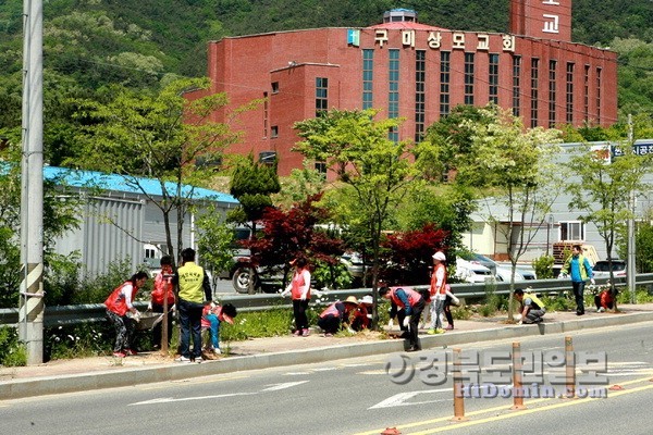 구미 상모사곡동, 박정희생가 주변 가꾸기 행사
