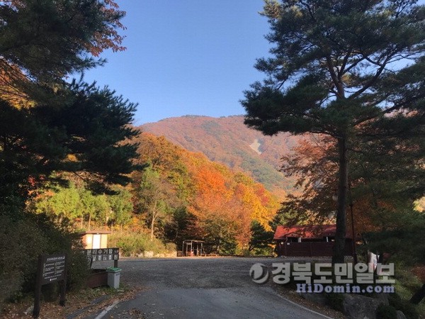 청도 운문산자연휴양림서 가을 즐겨요