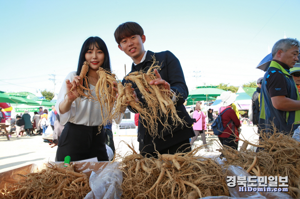국가대표 건강축제 영주 풍기인삼축제 개막