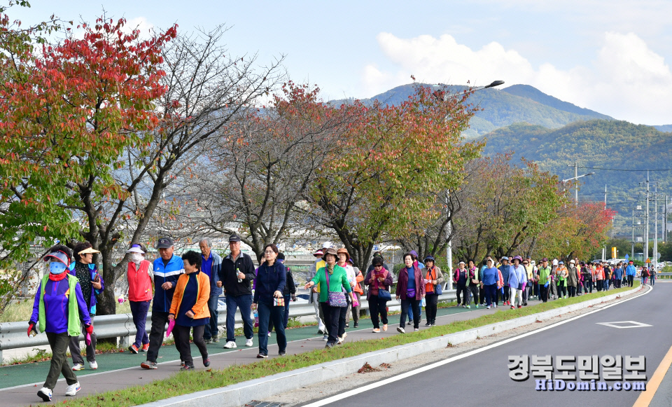 청도군 1530 싱그린 건강걷기대회 성료