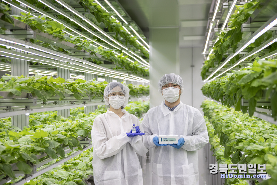 한미사이언스·바이오앱, 코로나 그린백신 개발 총력