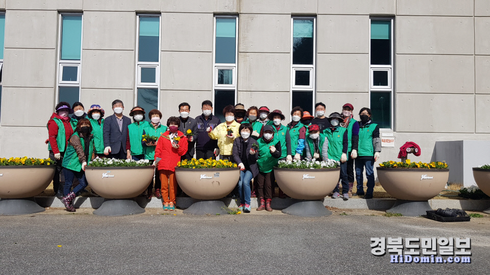 구미시 선산읍, 가로화단에 봄꽃 식재