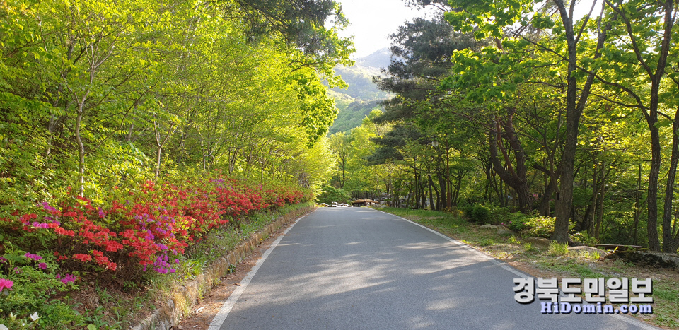 청도 운문산자연휴양림, 객실 면적 현실화