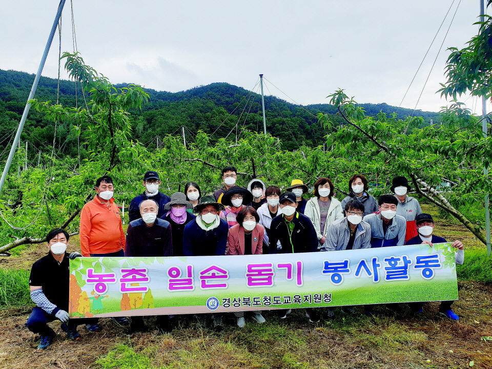 청도교육지원청, 복숭아농가 농촌일손돕기
