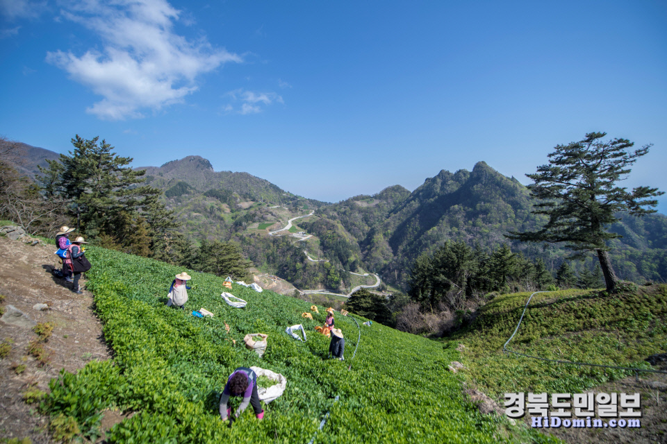 울릉군 농촌인력지원센터 운영