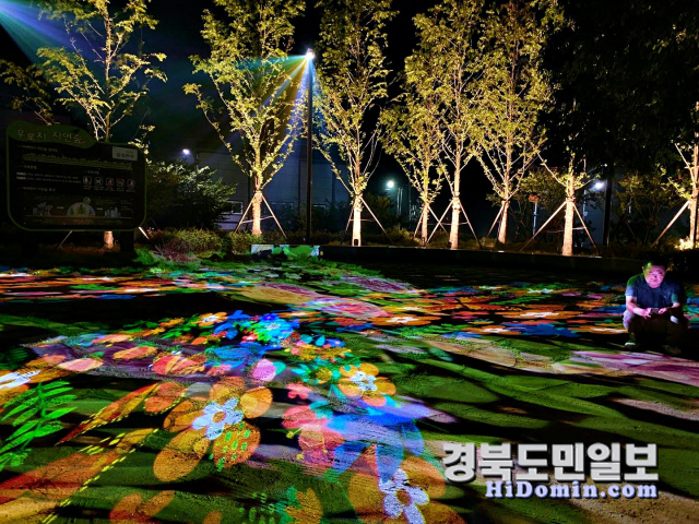 영천 우로지 자연숲으로 밤 산책 오이소~