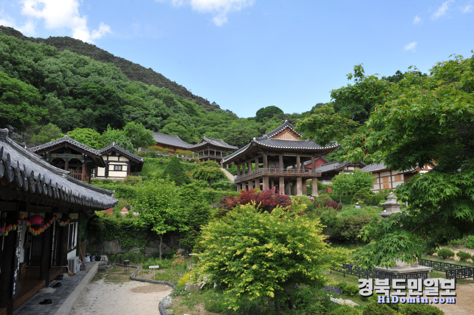 부석사 보고 한우 맛보고 영주 하루 로컬여행 인기